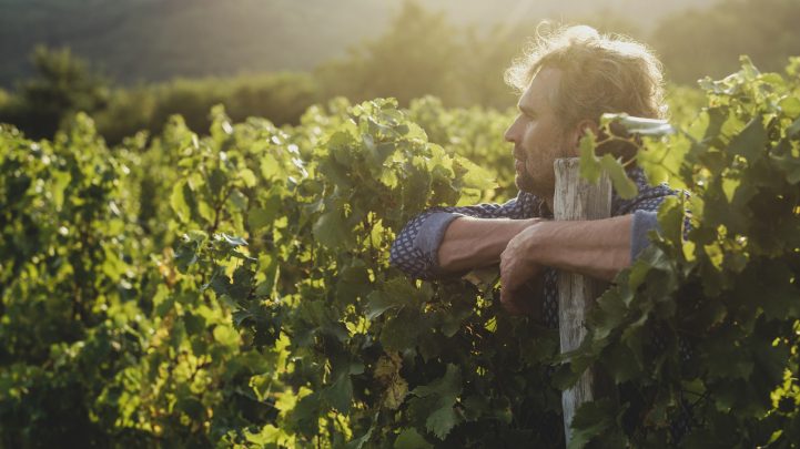 From Idea to Reality: Slovenian Gastronomy
